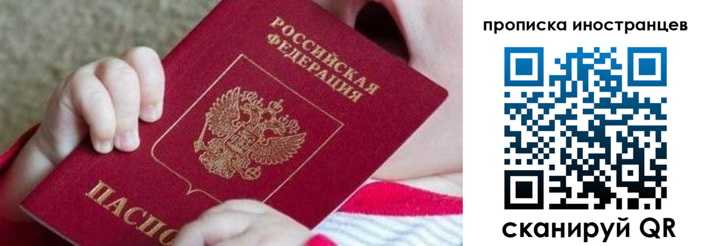 временная регистрация поиск в Новозыбкове